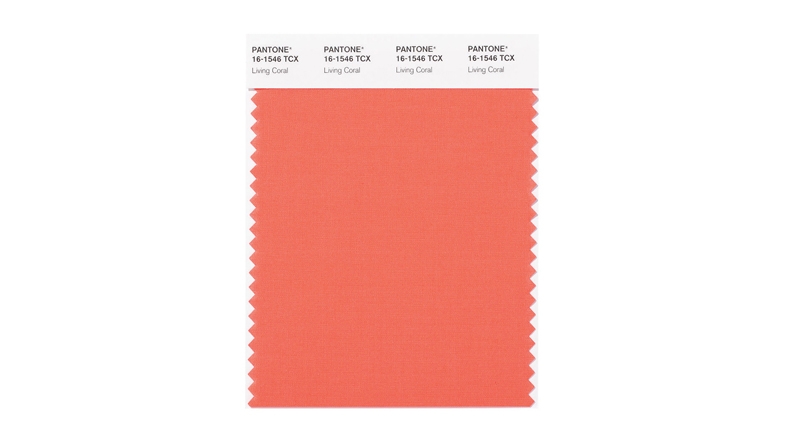 2019 Pantone Color of the year